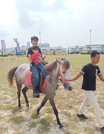 Pony ride 1
